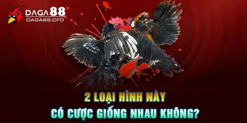 2 loại hình này có cược giống nhau không?