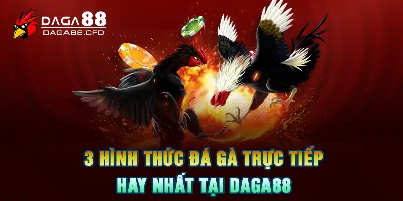 3 Hình thức đá gà trực tiếp hay nhất tại DAGA88