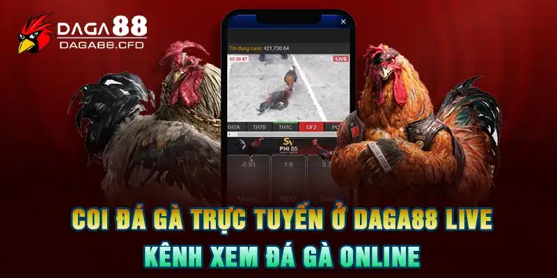 Coi Đá Gà Trực Tuyến Ở DAGA88 Live - Kênh Xem Đá Gà Online