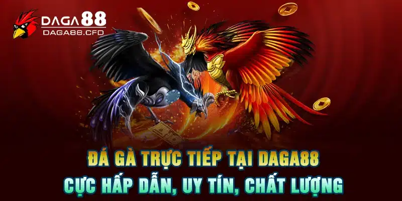 Đá Gà Trực Tiếp Tại DAGA88 Cực Hấp Dẫn, Uy Tín, Chất Lượng