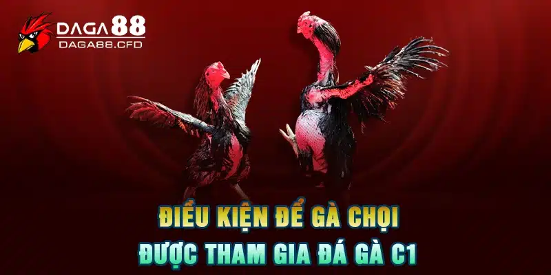 Điều kiện để gà chọi được tham gia đá gà C1