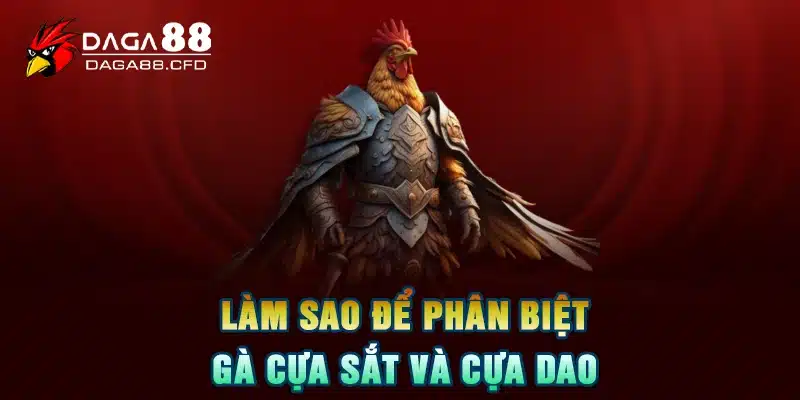 Làm sao để phân biệt gà cựa sắt và cựa dao