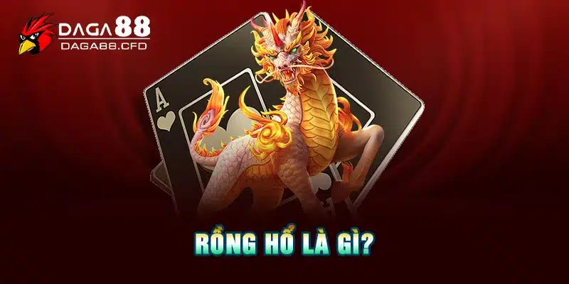 Rồng hổ là gì?