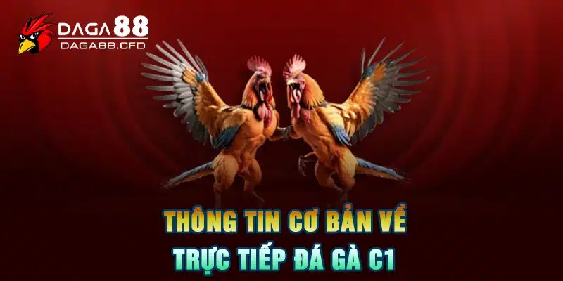 Thông tin cơ bản về trực tiếp Đá gà C1