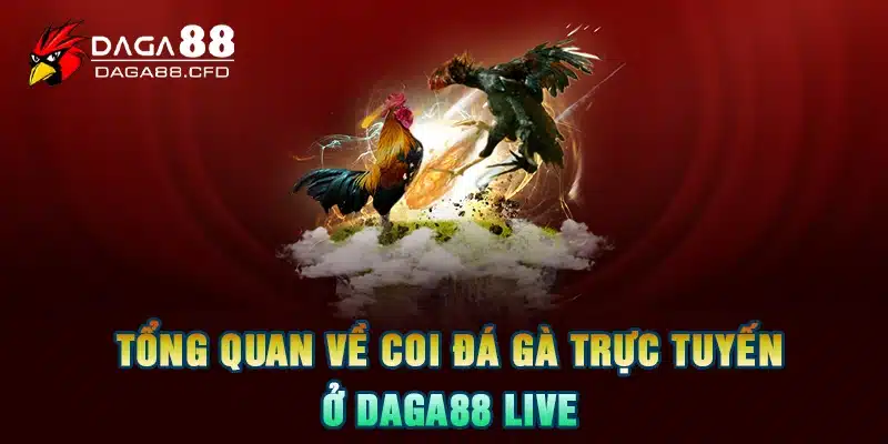 Tổng quan về coi đá gà trực tuyến ở DAGA88 live